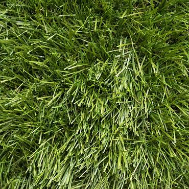 Smartgrass Montone 4m breed